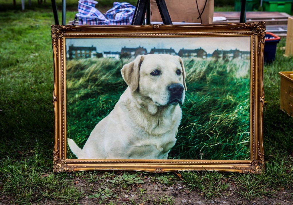 brocante - photographe Olivier Gherrak