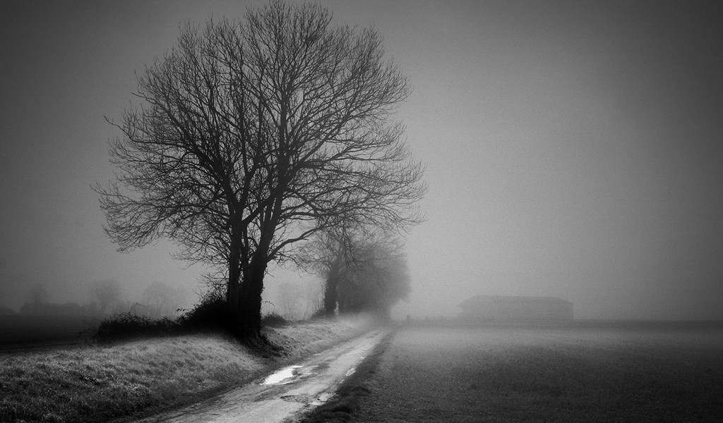 Olivier Gherrak, photographe de la côte de Nacre